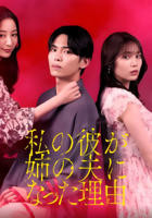 日剧《我男友成了姐夫的理由》电视剧全集完整版在线观看