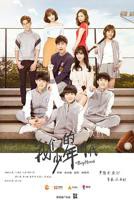 《我们的少年时代》电视剧在线完整版免费观看