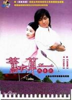 《薰衣草2001》电视剧全集完整版免费观看